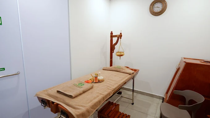 Punarjani Ayurvedic Clinic Oud Metha Dubai Health Fitness Dubai 3